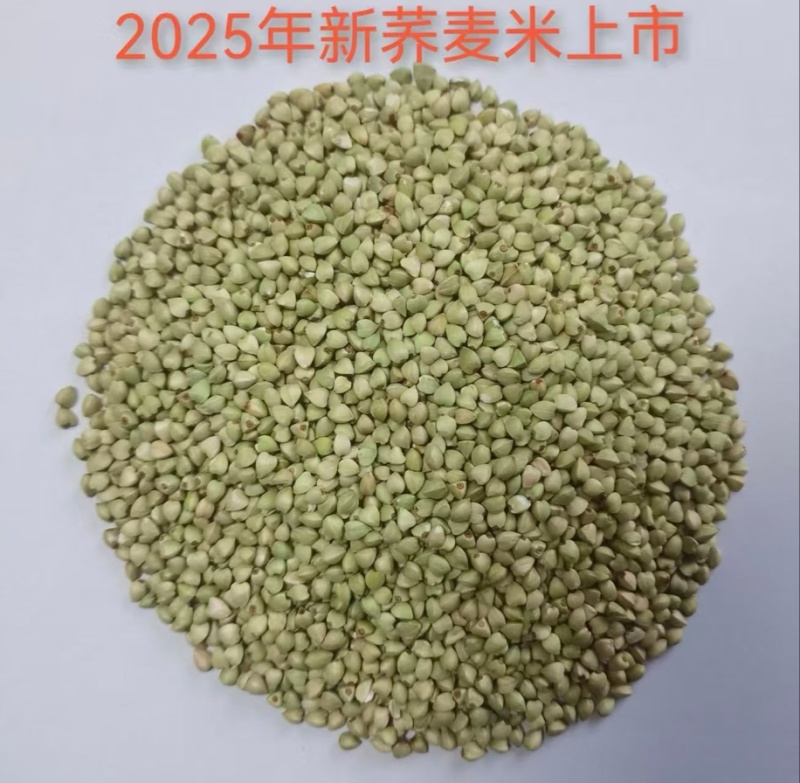 荞麦全系列制品