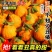 四川丑橘，电商对接一件代发