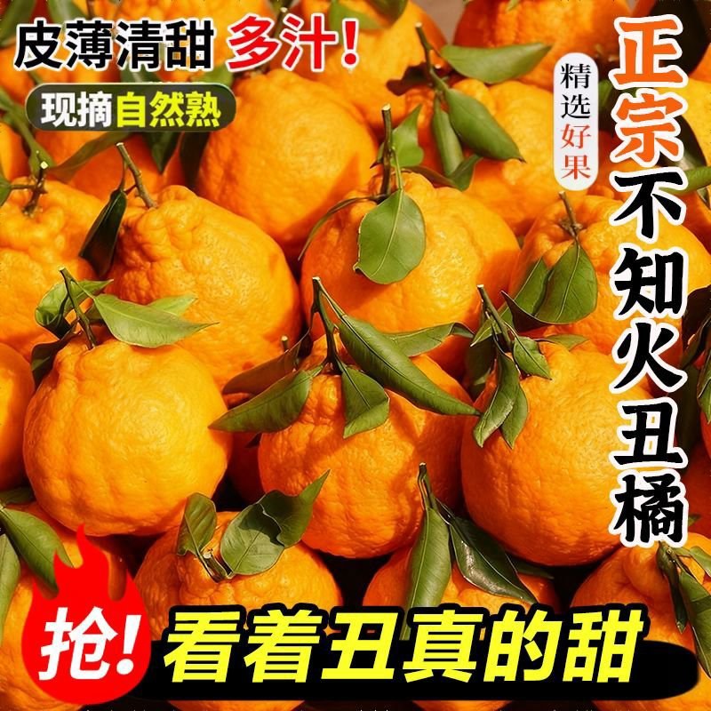 四川丑橘，电商对接一件代发
