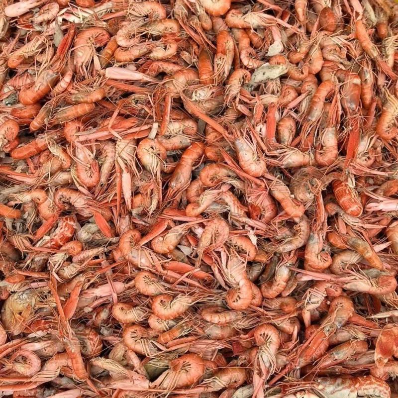 熟狗虾爪虾