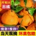四川丑橘，电商对接一件代发