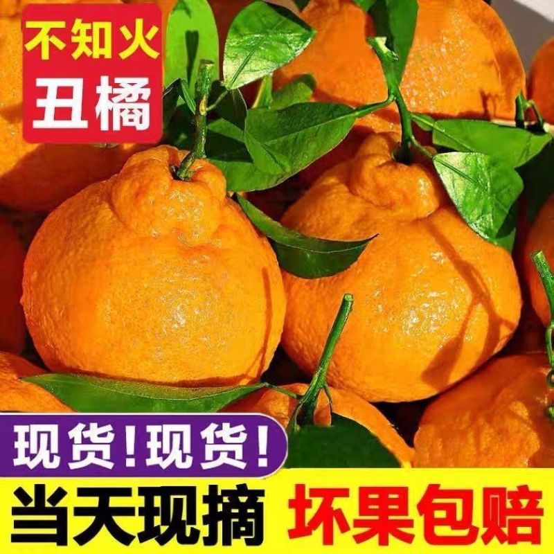 四川丑橘，电商对接一件代发