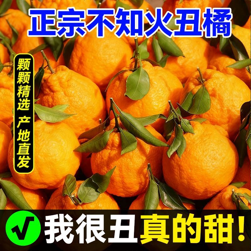 四川丑橘，电商对接一件代发