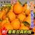 四川丑橘，电商对接一件代发