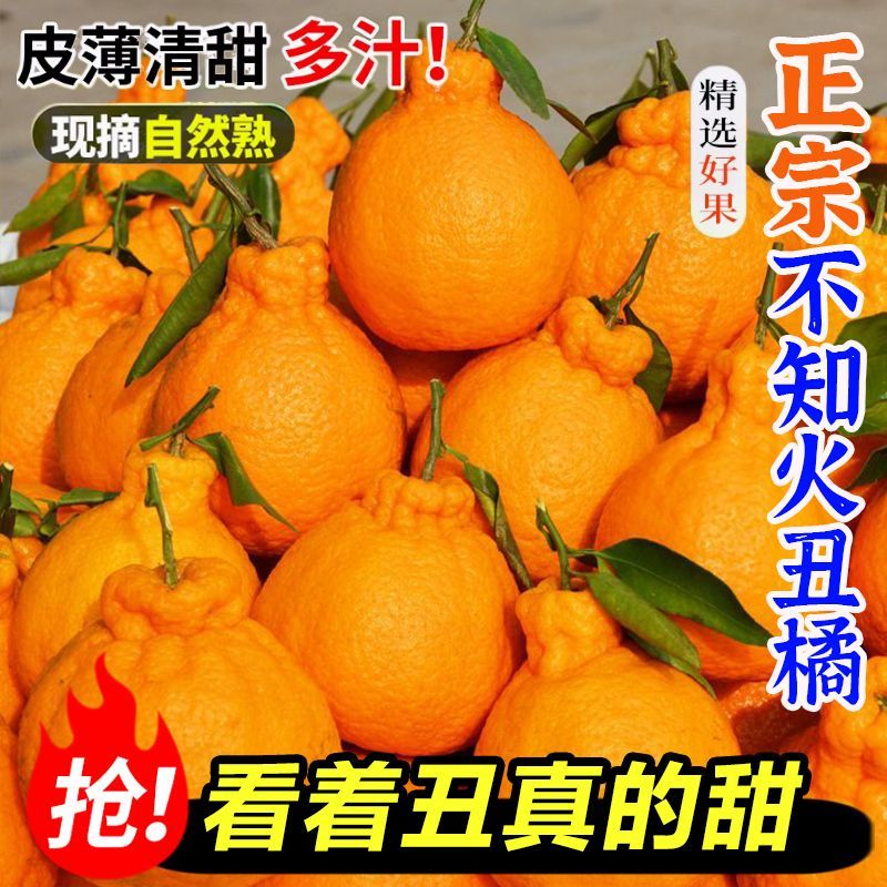 四川丑橘，电商对接一件代发