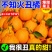 四川丑橘，电商对接一件代发