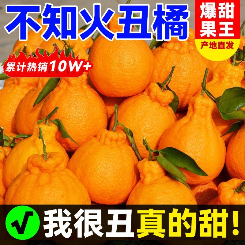 四川丑橘，电商对接一件代发