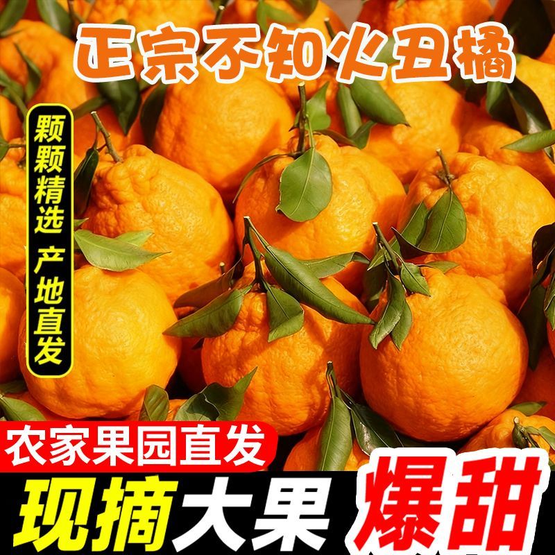 四川丑橘，电商对接一件代发
