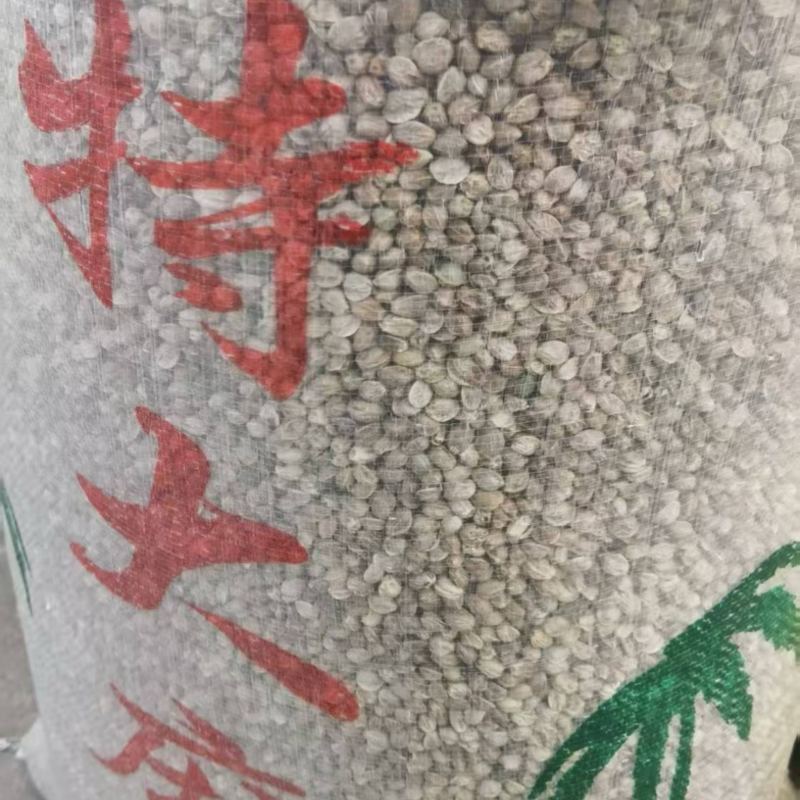 特大麻子大量有货产地直发一手货源品质保障