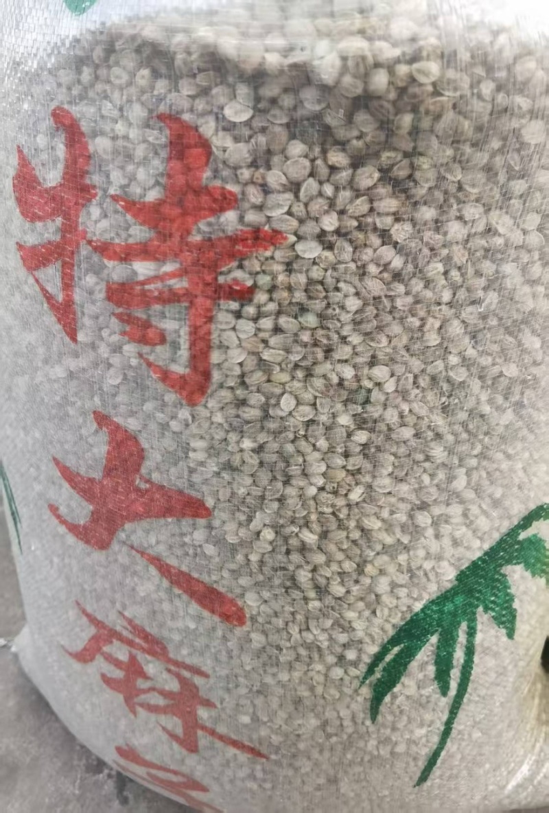 特大麻子大量有货产地直发一手货源品质保障