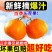 四川耙耙柑电商供货一件代发