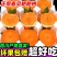 四川耙耙柑电商供货一件代发