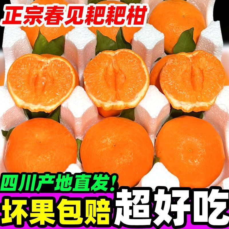 四川耙耙柑电商供货一件代发