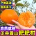 四川耙耙柑电商供货一件代发