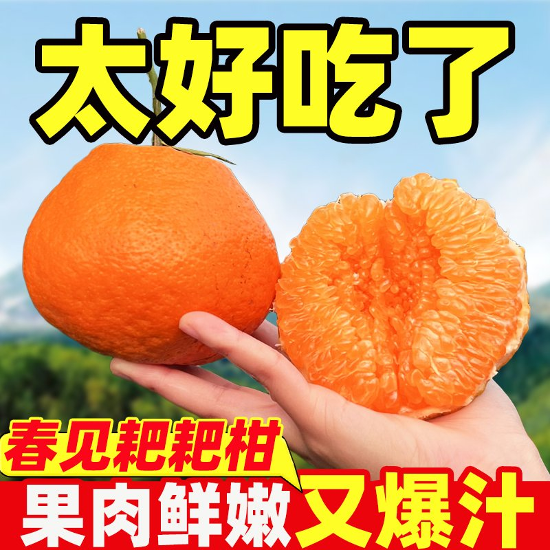 四川耙耙柑电商供货一件代发