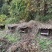 正宗自家散养山中土蜂蜜