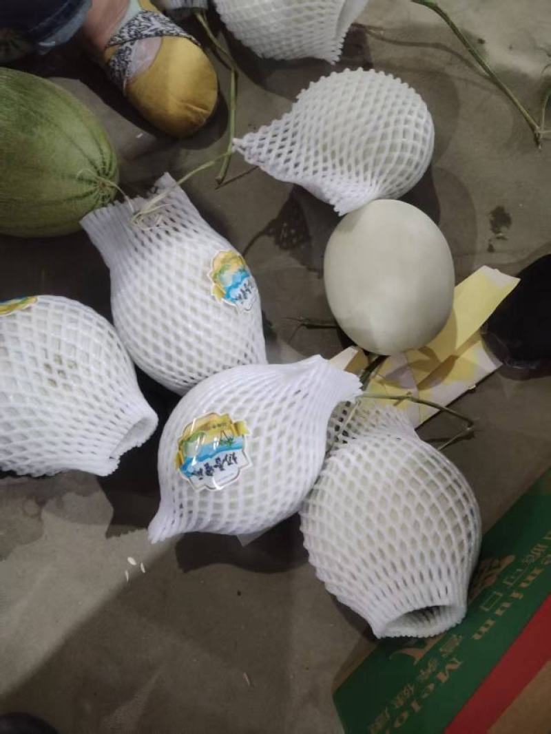 海南哈密瓜产地直发量大价优保质保量欢迎随时电话洽谈