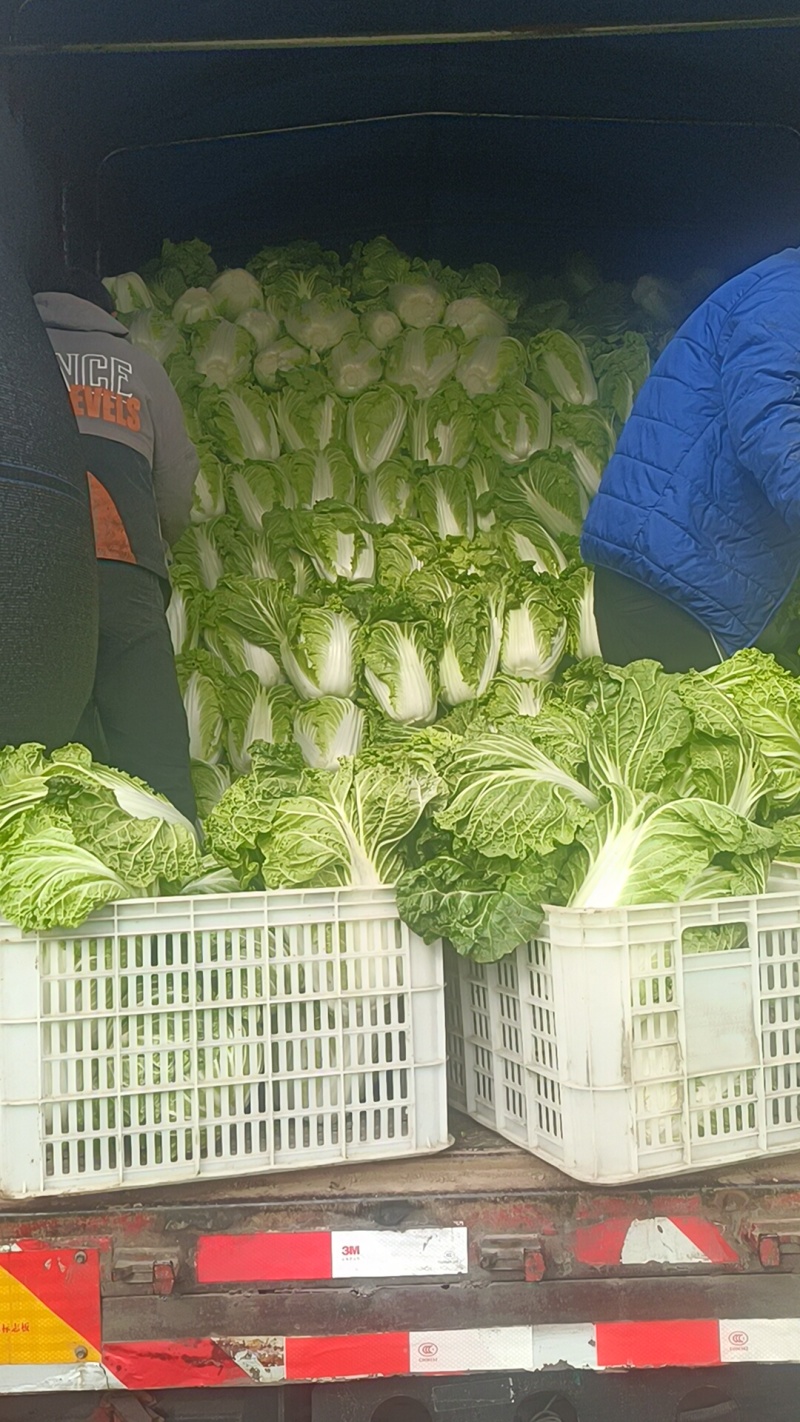 大白菜868，有要的联系