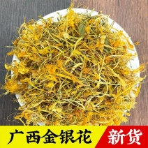 五彩花金银花批发优质五彩花颜色亮丽量大价优