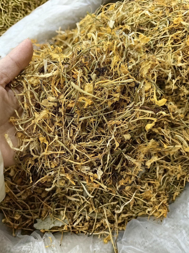 五彩花金银花批发优质五彩花颜色亮丽量大价优