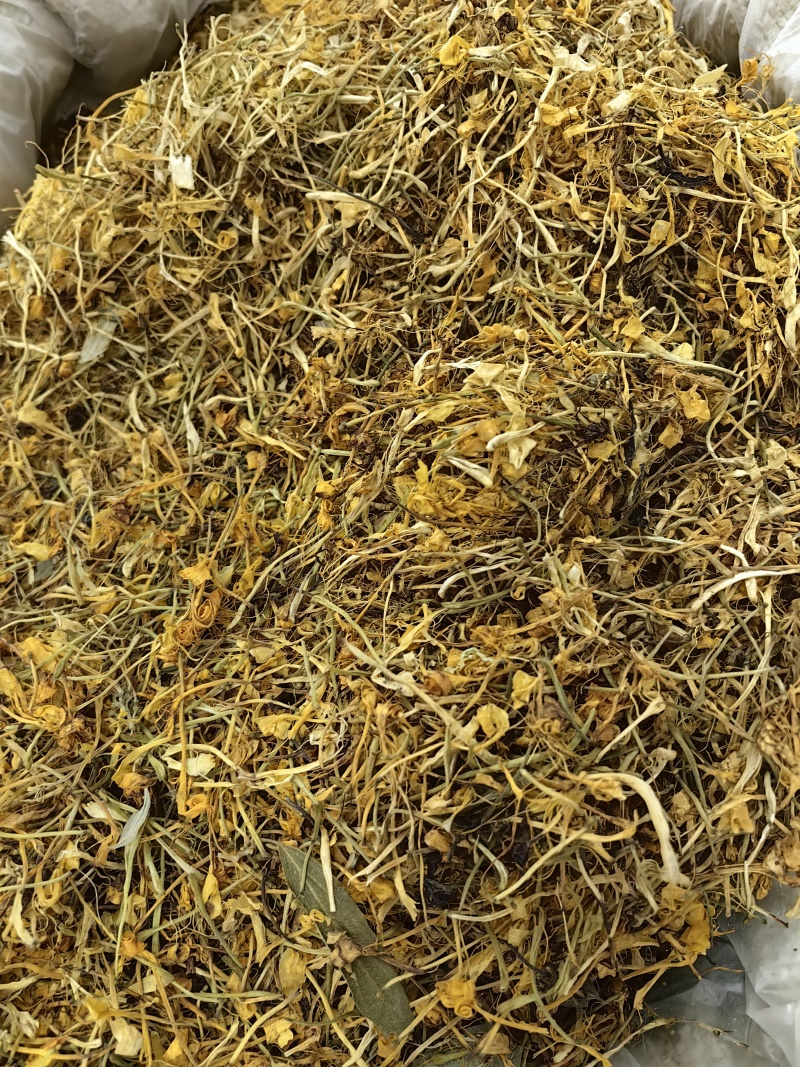 五彩花金银花批发优质五彩花颜色亮丽量大价优