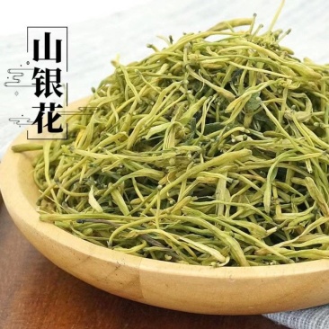 山银花批发优质山银花规格齐全可供大货量大价优