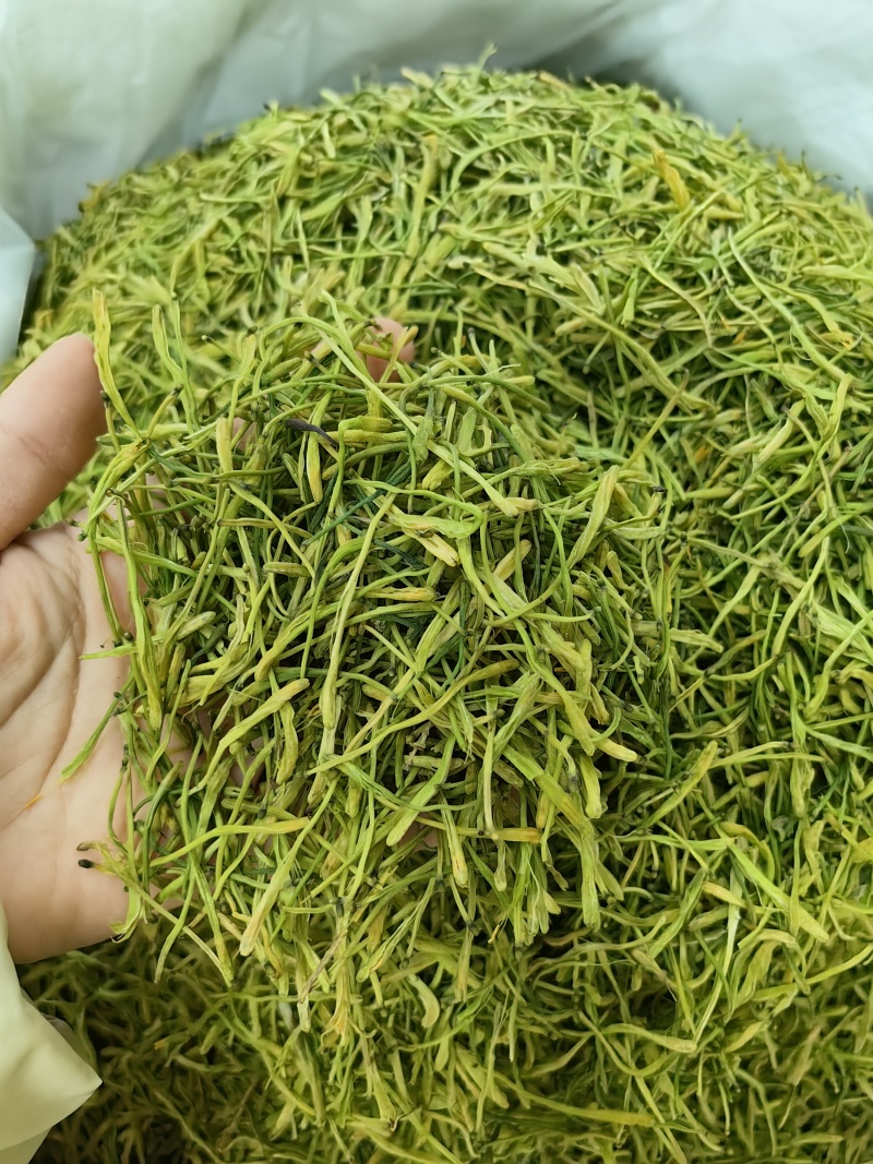 山银花批发优质山银花规格齐全可供大货量大价优