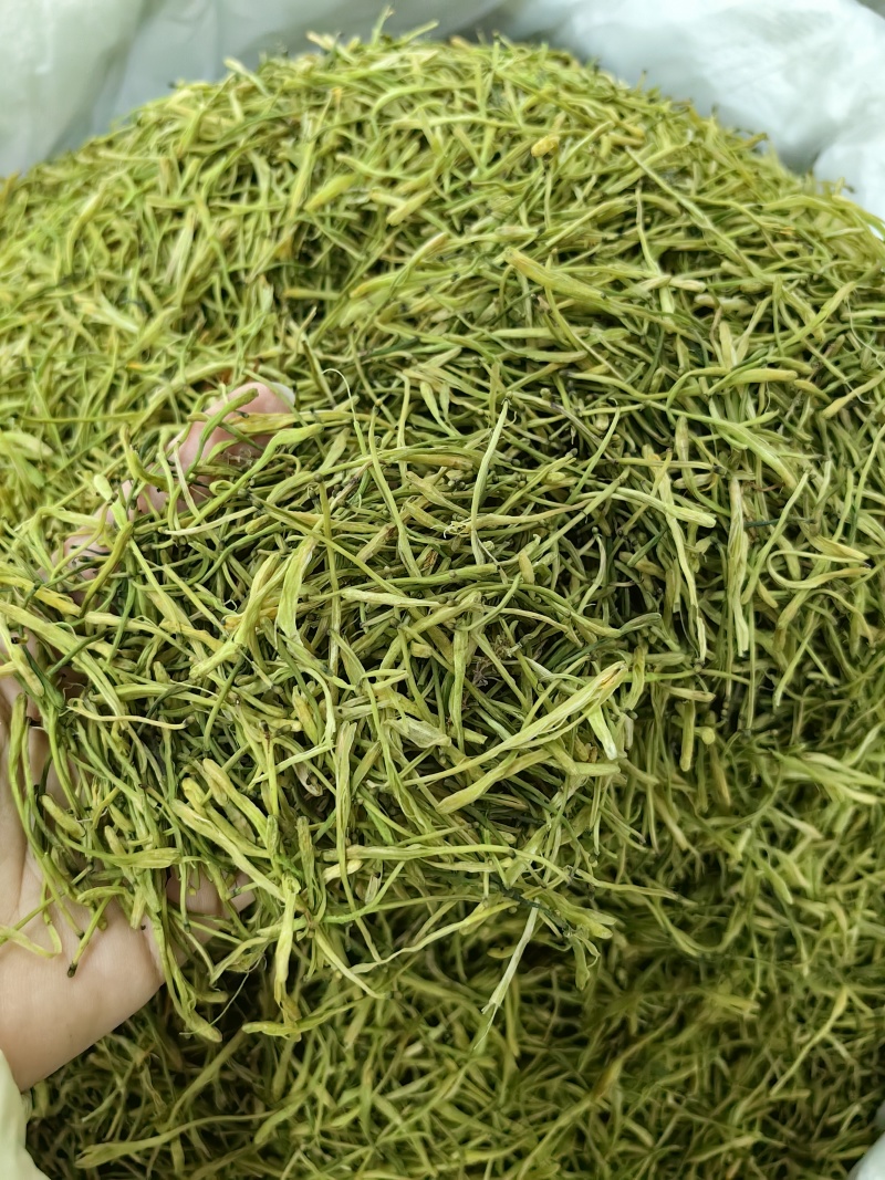 山银花批发优质山银花规格齐全可供大货量大价优