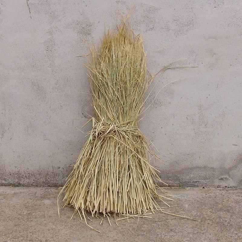 新稻草