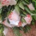 【耙耙柑】四川春见柑桔/资中耙耙柑/电商团购一件批发大甩
