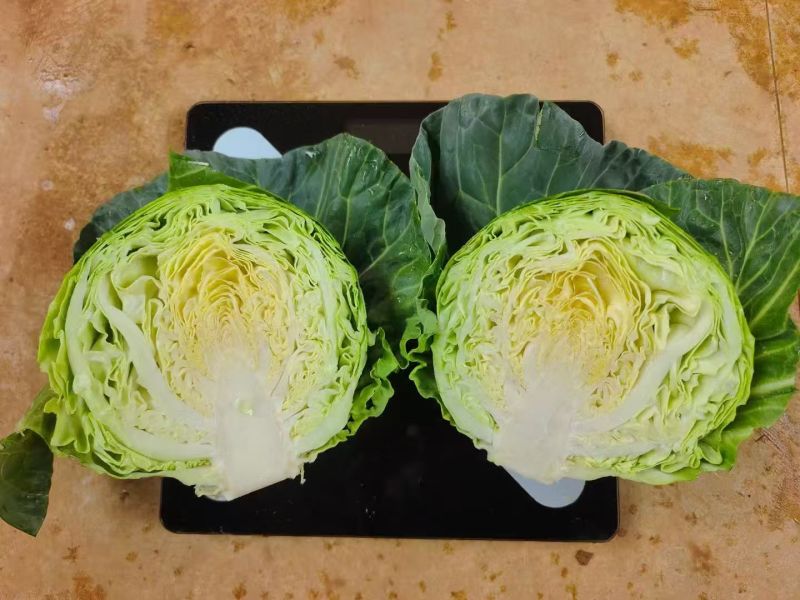 精品甘蓝货源充足量大从优质量保证诚信经营欢迎咨询