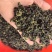 桑叶茶当年新货批发零售规格齐全量大从优
