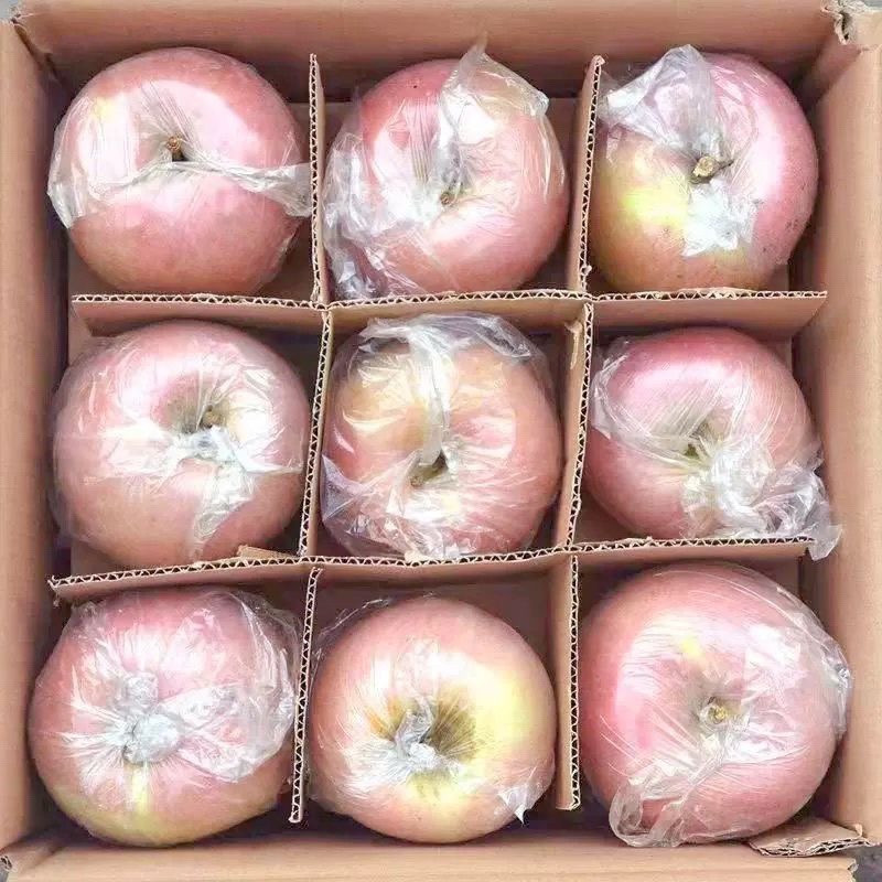 河北秦皇岛红富士/产区直发/大量有货/当天发货