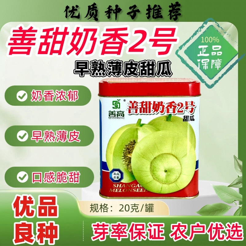善高善甜奶香2号甜瓜品种种子，早熟杂交一代品种种子
