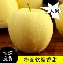 河北昌黎黄元帅苹果/粉糯香甜/产区直发