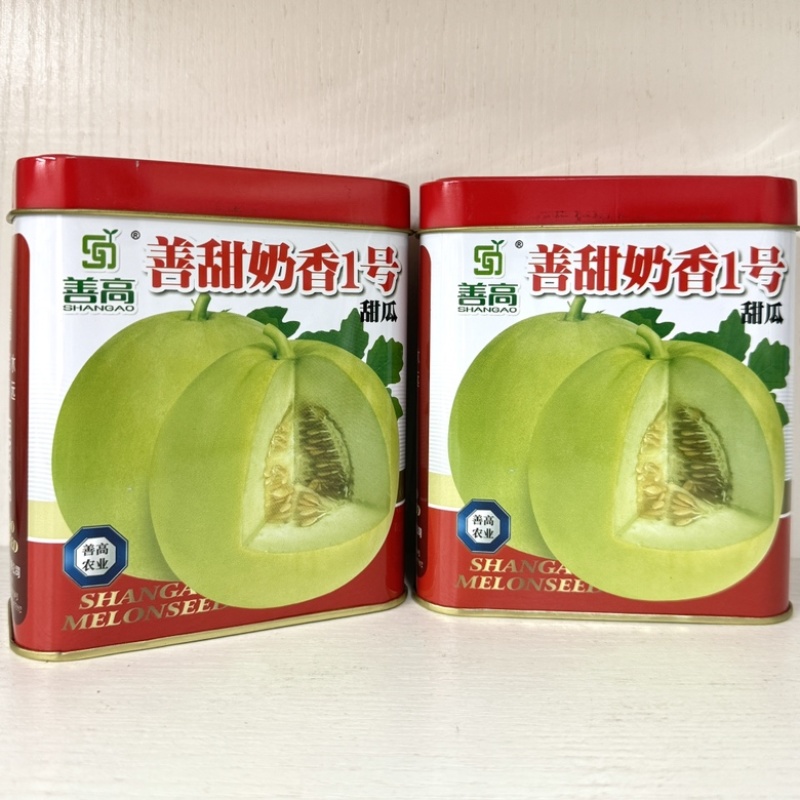 善高善甜奶香2号甜瓜品种种子，早熟杂交一代品种种子