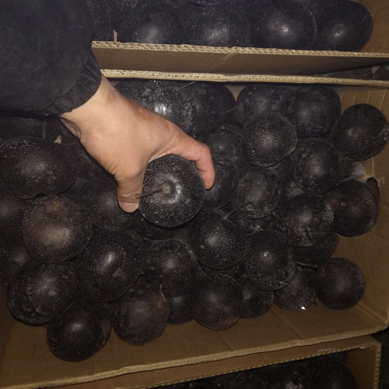 冻梨，可长期供货，量大从优，大中小号齐全，欢迎致电