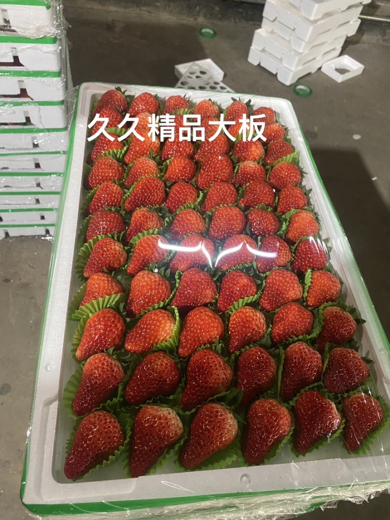 产地直发红颜久久草莓。代办，专业分拣批发，可对接电商商超等