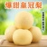 河北昌黎蜜梨/皇冠梨/产区直发/大量有货