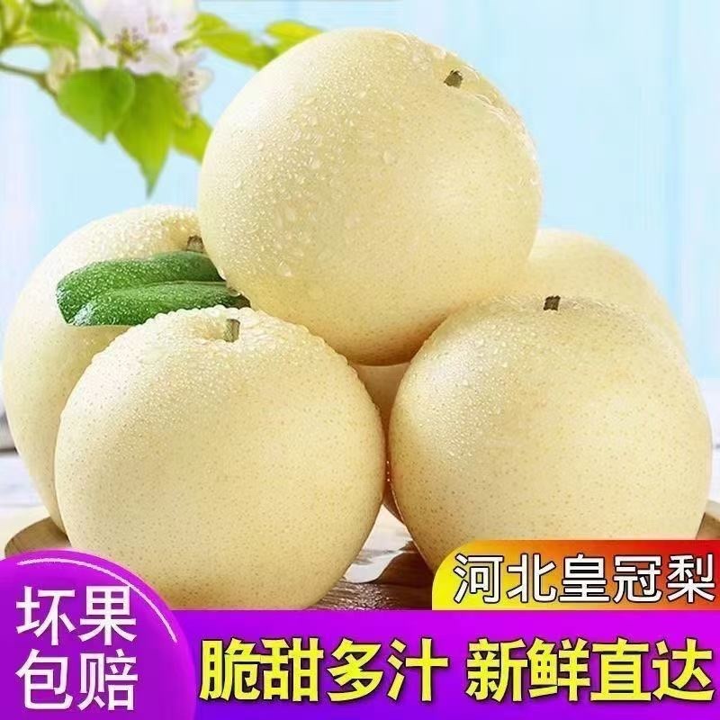 河北昌黎蜜梨/皇冠梨/产区直发/大量有货