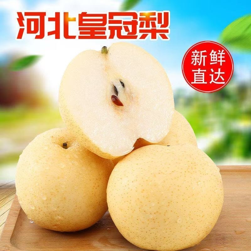 河北昌黎蜜梨/皇冠梨/产区直发/大量有货