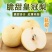 河北昌黎蜜梨/皇冠梨/产区直发/大量有货