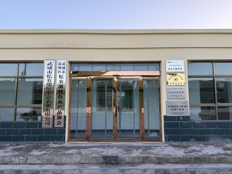 水果黄瓜小青瓜全年供应干花无刺更健康基地直供