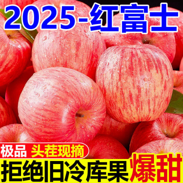 河北昌黎冷库红富士/现货直发/大量有货/欢迎咨询