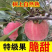 河北昌黎冷库红富士/现货直发/大量有货/欢迎咨询