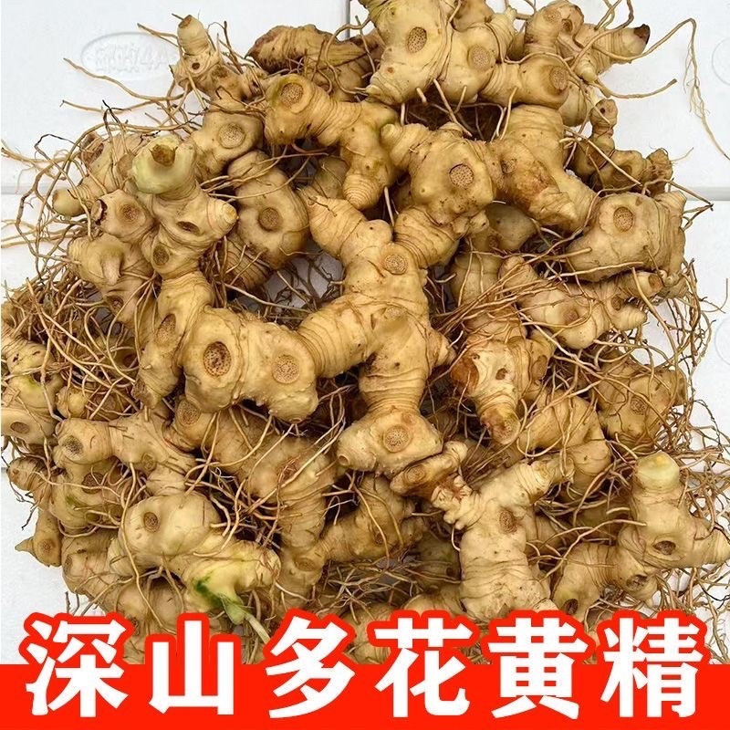 四川多花黄精野生颠黄精鸡头黄精各种野生山货新鲜现挖