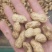 内黄县花生产地直供，颗粒饱满品质好，价格合理，可视频看货