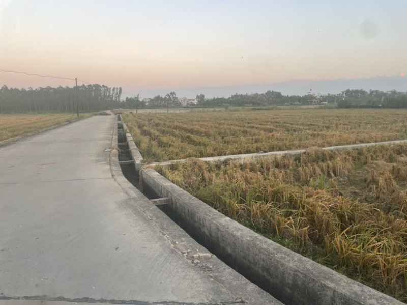 流转出租国家示范级高标准水浇地