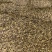 武陵山区虎仗烘烤片统货野生酸通杆重庆湖北恩施