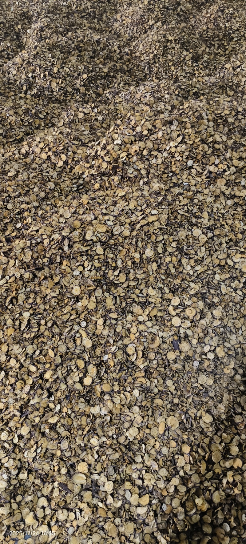 武陵山区虎仗烘烤片统货野生酸通杆重庆湖北恩施
